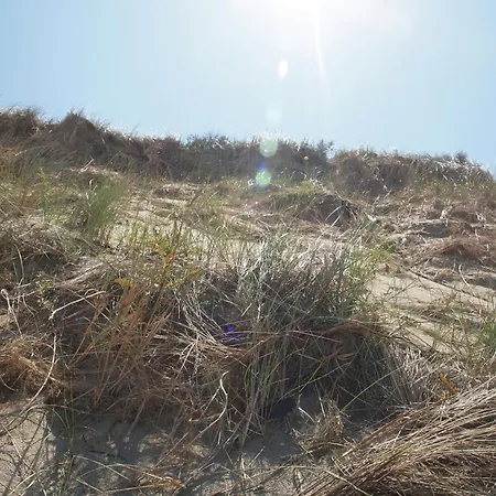 Apartment 1 Barrierefrei - A72143 *