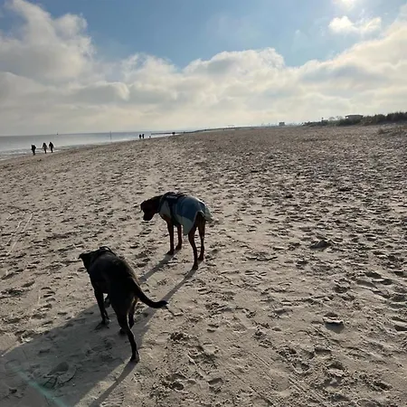 1 Barrierefrei - A72143 *